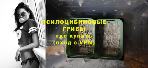 прущая мука Арсеньев