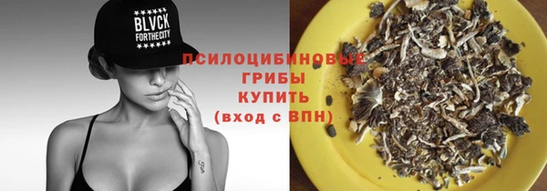 прущая мука Арсеньев